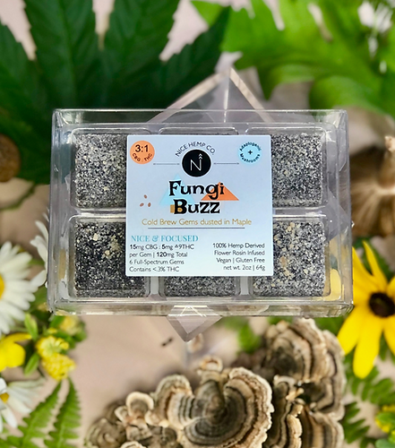 Fungi Buzz CBG & Delta 9 THC Mushroom Gummies