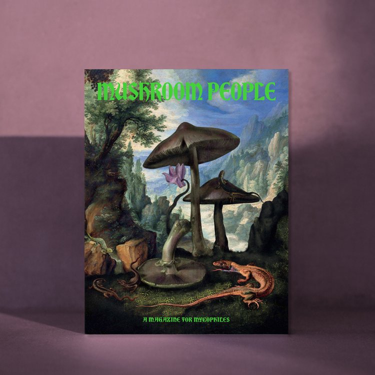 Mushroom People Volume 1