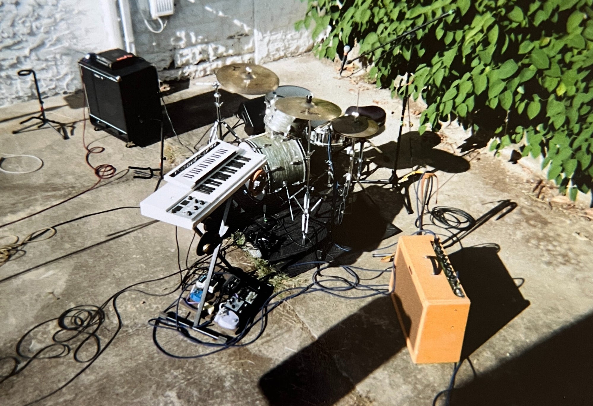 Year One at 792 Haywood Rd