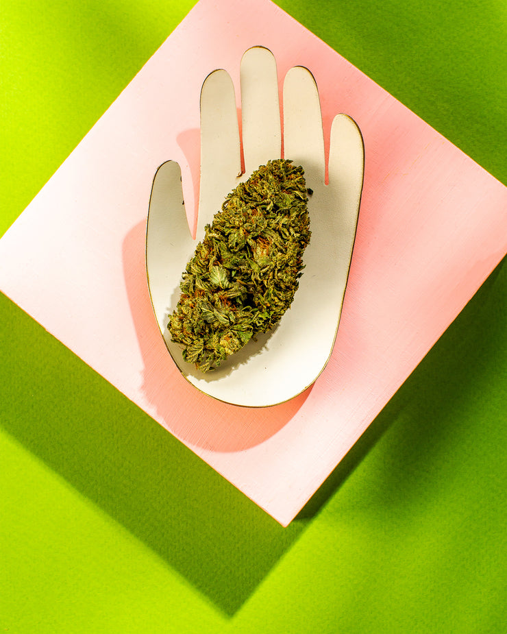 cbd products asheville