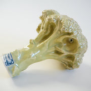 Ficus Ceramica - Broccoli Pipe