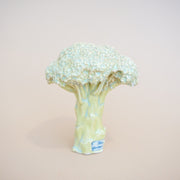 Ficus Ceramica - Broccoli Pipe
