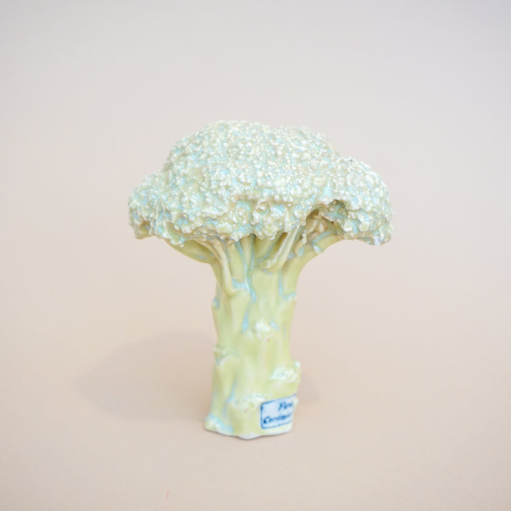 Ficus Ceramica - Broccoli Pipe