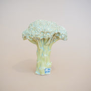 Ficus Ceramica - Broccoli Pipe