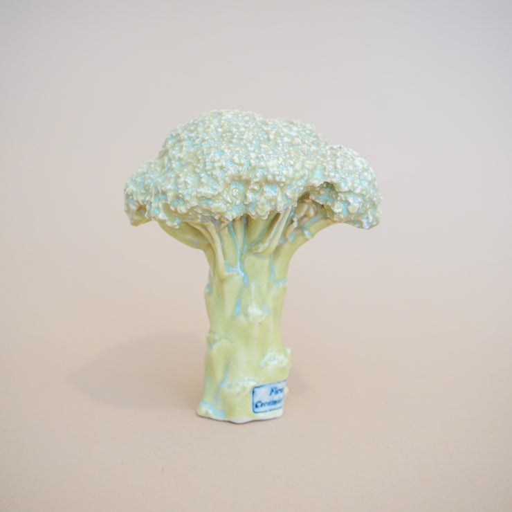 Ficus Ceramica - Broccoli Pipe