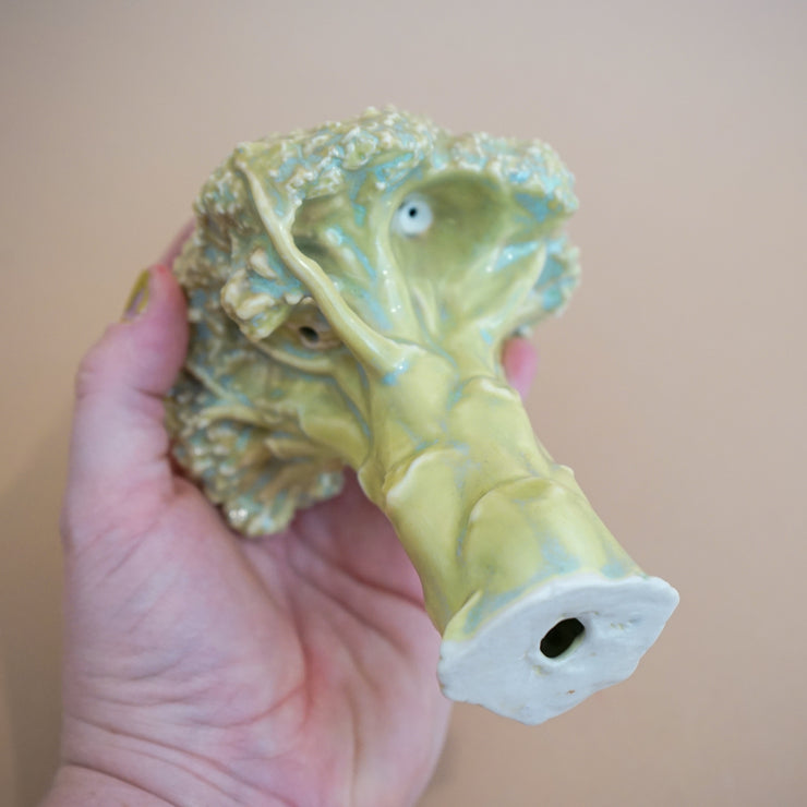 Ficus Ceramica - Broccoli Pipe