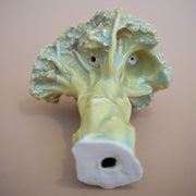 Ficus Ceramica - Broccoli Pipe