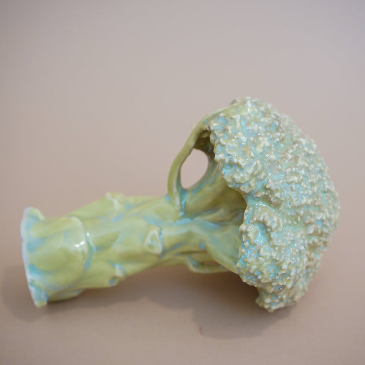 Ficus Ceramica - Broccoli Pipe