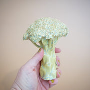 Ficus Ceramica - Broccoli Pipe