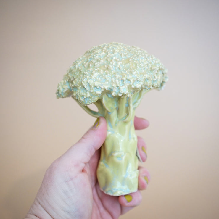 Ficus Ceramica - Broccoli Pipe